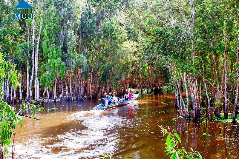Hình ảnh An Cư, An Giang