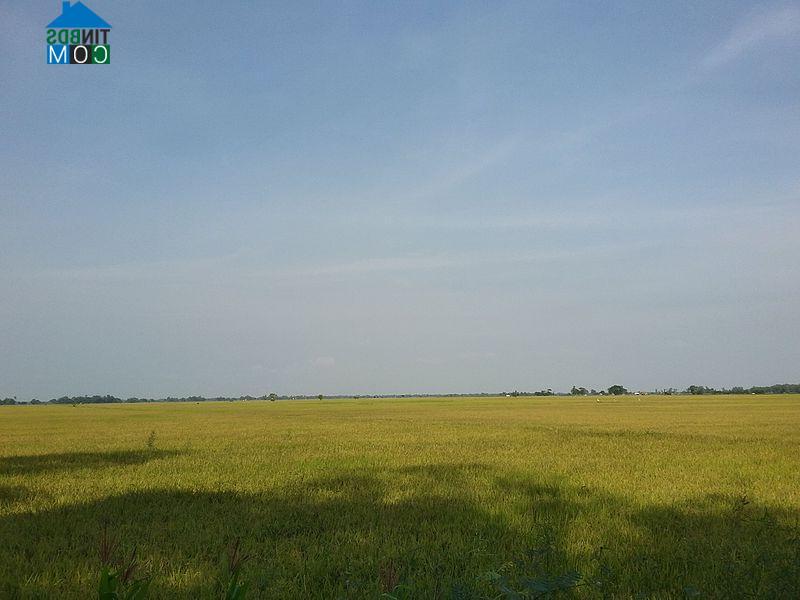 Hình ảnh Phú Hữu, An Giang