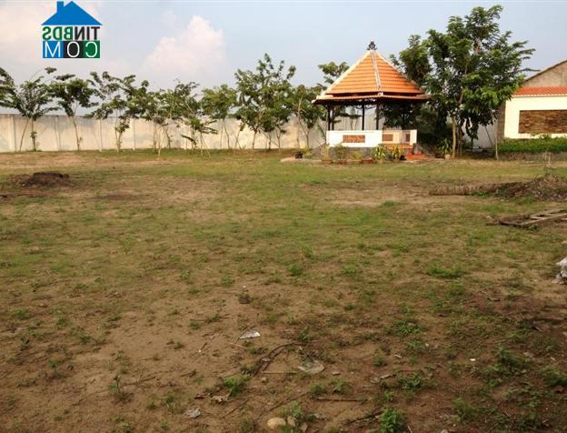 Hình ảnh Tân Châu, An Giang