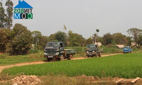 Hình ảnh Nhơn Mỹ, An Giang