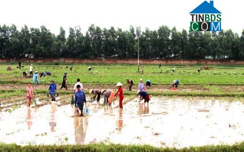 Hình ảnh Bắc Lũng, Bắc Ninh