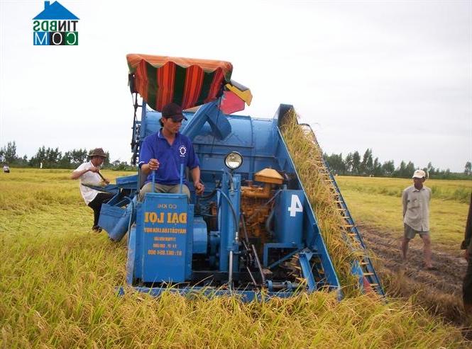Hình ảnh Thạnh Đông, An Giang