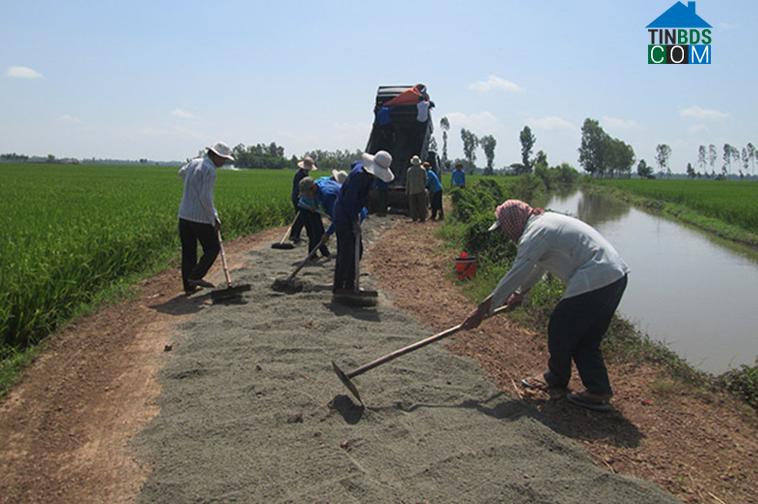 Hình ảnh Vĩnh Hòa, An Giang