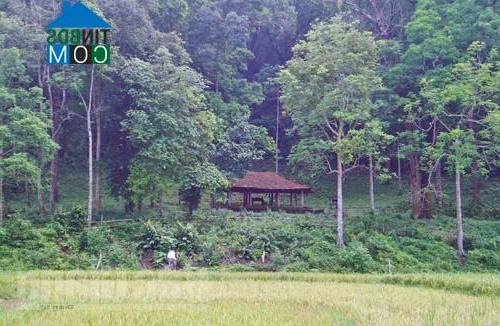 Hình ảnh Lục Sơn, Bắc Ninh