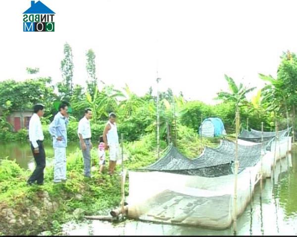 Hình ảnh Lâm Thao, Bắc Ninh