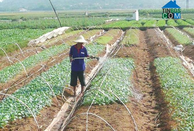 Hình ảnh Phượng Sơn, Bắc Ninh