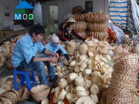 Hình ảnh Tân Chi, Bắc Ninh