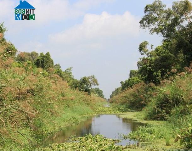 Hình ảnh Đá Bạc, Cà Mau