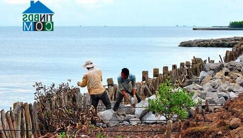 Hình ảnh U Minh, Cà Mau