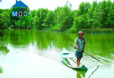 Hình ảnh Tân Tiến, Cà Mau