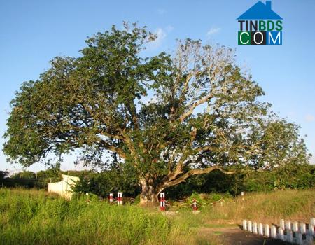 Hình ảnh Hiệp Thành, Cà Mau