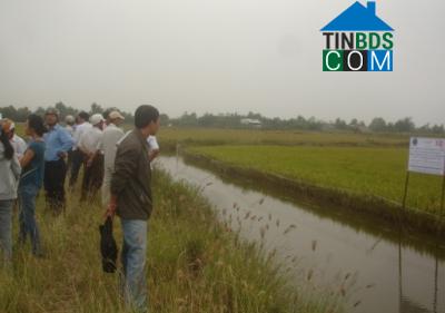 Hình ảnh Hưng Hội, Cà Mau