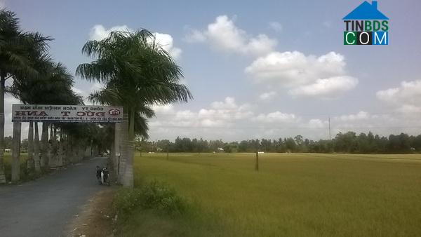 Hình ảnh Ninh Quới, Cà Mau