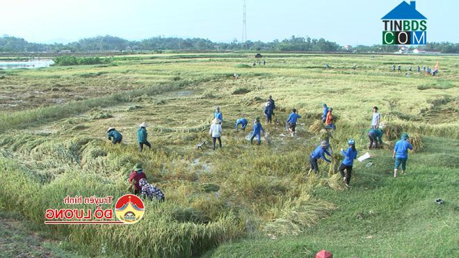 Hình ảnh Thuần Trung, Nghệ An