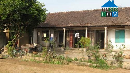 Hình ảnh Quỳnh Anh, Nghệ An