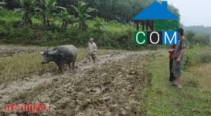 Hình ảnh Tân An, Nghệ An