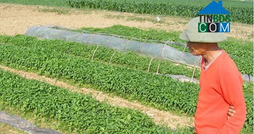 Hình ảnh Thiên Nhẫn, Nghệ An