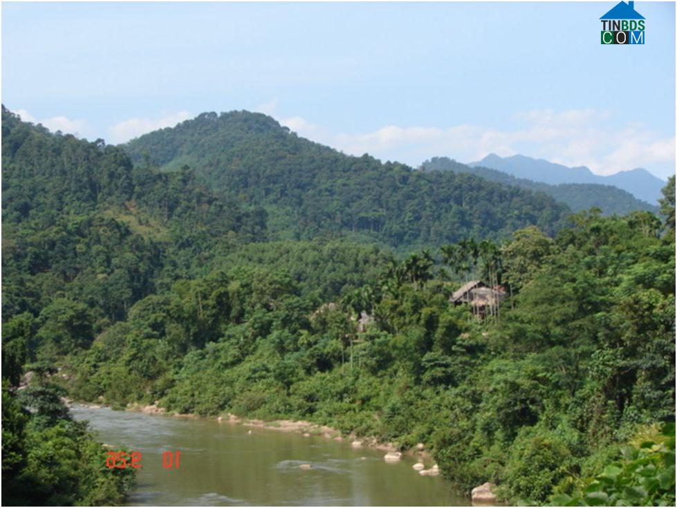 Hình ảnh Tiền Phong, Nghệ An