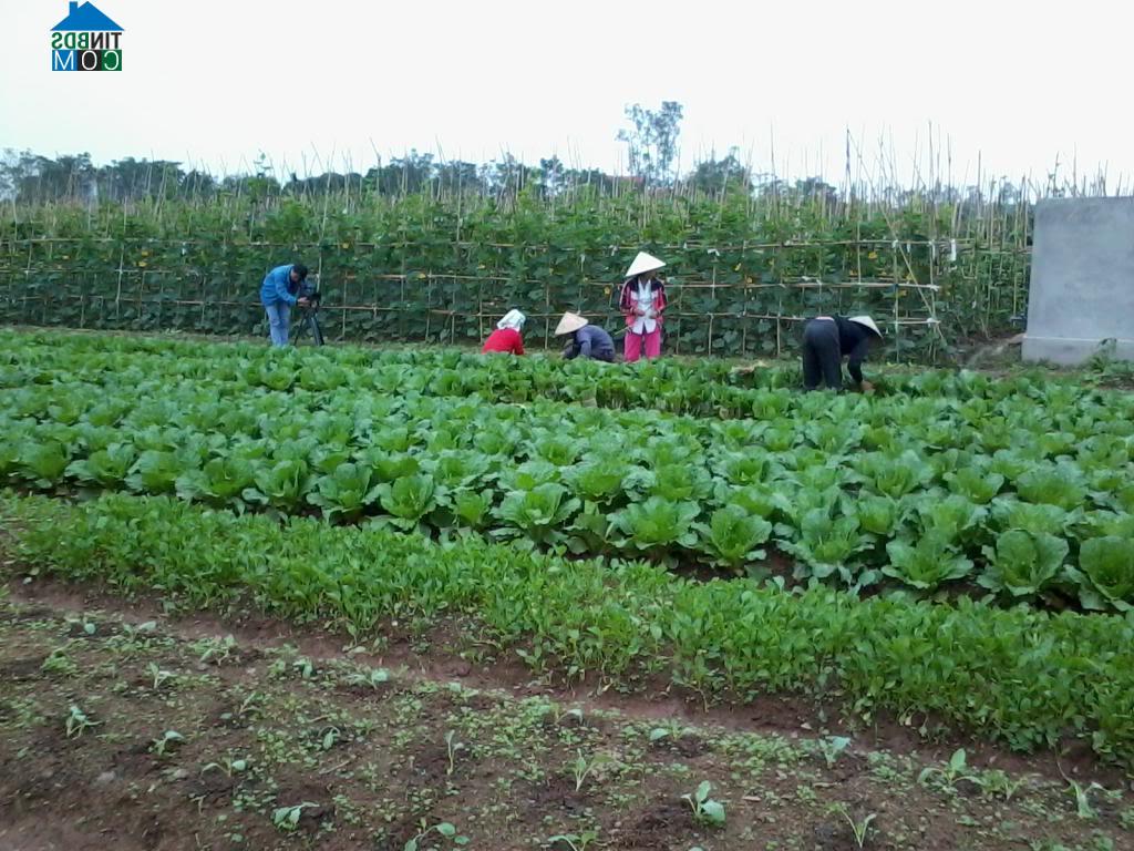 Hình ảnh Duy Tiên, Ninh Bình