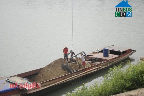 Hình ảnh Quỳnh Sơn, Nghệ An