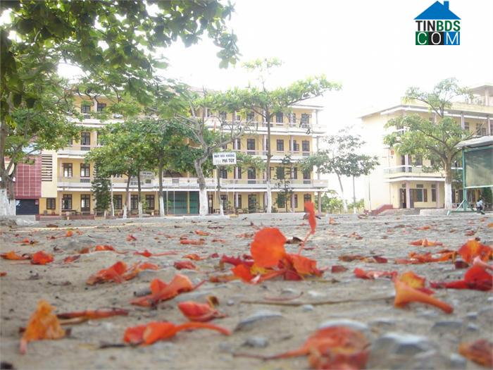 Hình ảnh Cát Thành, Ninh Bình