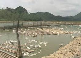 Hình ảnh Cúc Phương, Ninh Bình