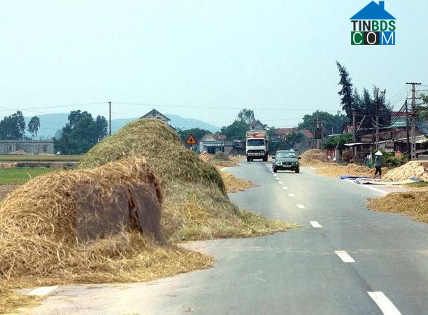 Hình ảnh Đại Hoàng, Ninh Bình