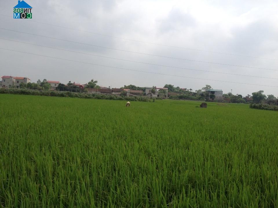 Hình ảnh Lê Hồ, Ninh Bình