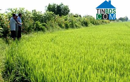 Hình ảnh Gia Phong, Ninh Bình