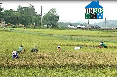 Hình ảnh Gia Tường, Ninh Bình