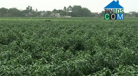 Hình ảnh Gia Viễn, Ninh Bình