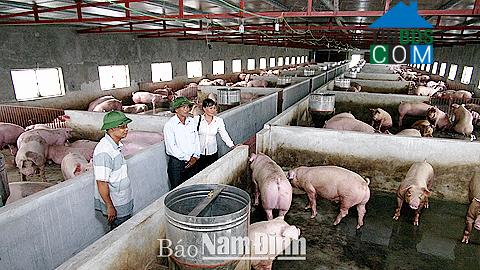 Hình ảnh Hải Quang, Ninh Bình