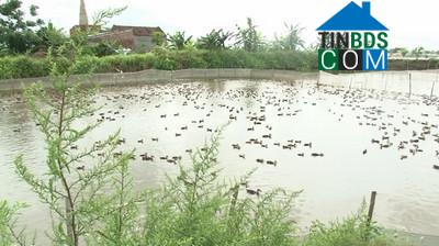 Hình ảnh Khánh Thiện, Ninh Bình