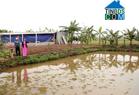 Hình ảnh Khánh Trung, Ninh Bình