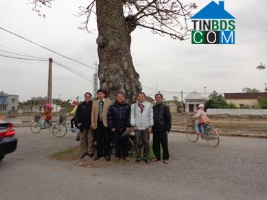 Hình ảnh Quỹ Nhất, Ninh Bình