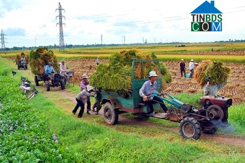 Hình ảnh Minh Thái, Ninh Bình