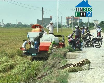 Hình ảnh Nghĩa Lâm, Ninh Bình