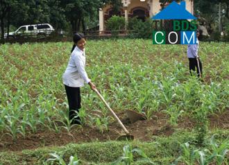 Hình ảnh Phú Sơn, Ninh Bình