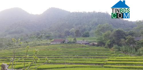 Hình ảnh Yên Trị, Phú Thọ