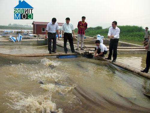 Hình ảnh Vạn Xuân, Phú Thọ