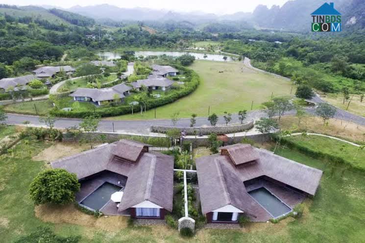 Hình ảnh Hợp Kim, Phú Thọ