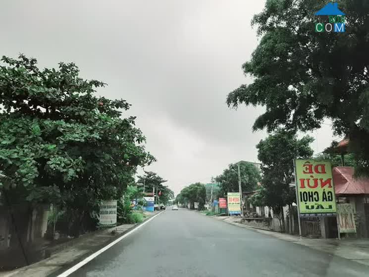 Hình ảnh Hùng Việt, Phú Thọ