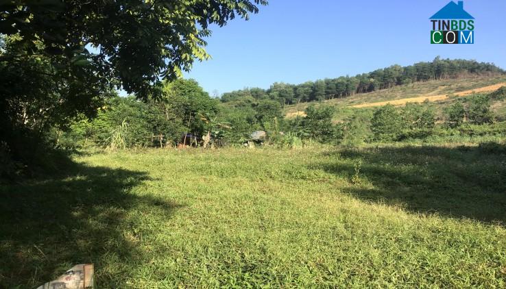 Hình ảnh Cao Dương, Phú Thọ