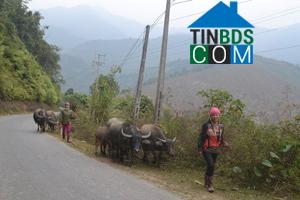 Hình ảnh Cao Sơn, Phú Thọ