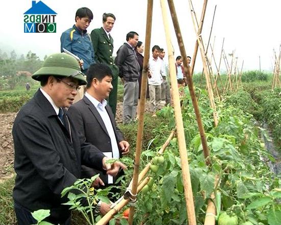 Hình ảnh Đạo Trù, Phú Thọ