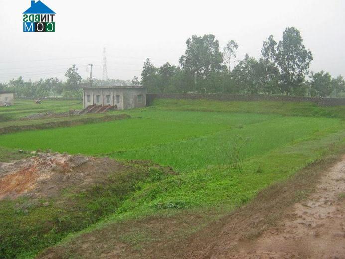 Hình ảnh Hải Lựu, Phú Thọ