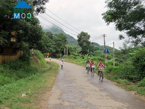 Hình ảnh Lai Đồng, Phú Thọ