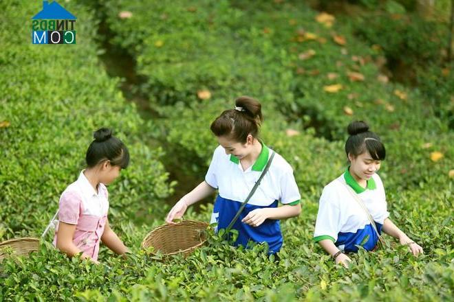 Hình ảnh Thượng Long, Phú Thọ