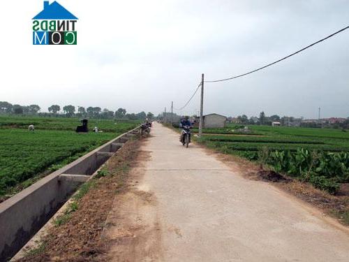 Hình ảnh Phùng Nguyên, Phú Thọ