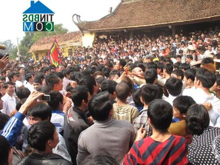 Hình ảnh Tam Dương Bắc, Phú Thọ